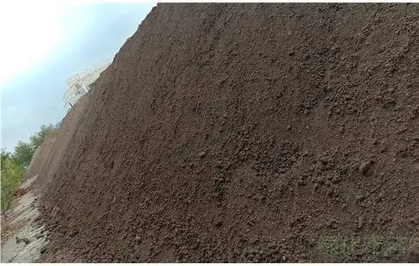 上海市园林科学规划研究院全程致力世博文化公园绿化种植成品土质量