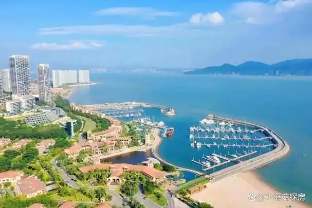 惠州惠东巽寮湾合正·东部湾四期周边配套如何?