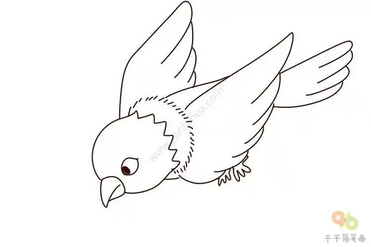 飞翔的麻雀简笔画_飞行动物简笔画