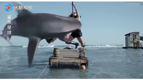 美女连续捕获好几条鲨鱼,母鲨鱼被惹怒,直接一口把她咬下海