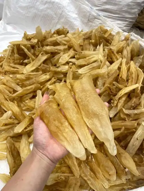 越南蜘蛛母胶到货也称越南白花胶3钱上的