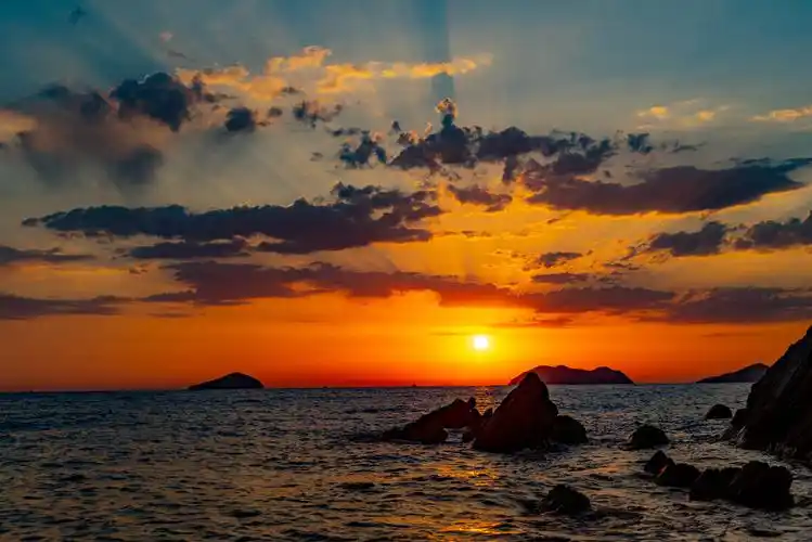 红日初升其道大光