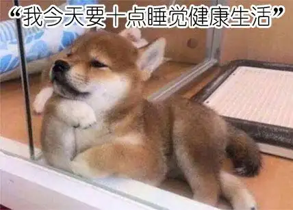 我今天要十点睡觉健康生活"