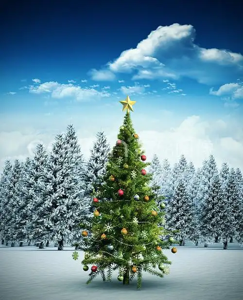 composite image of christmas tree
