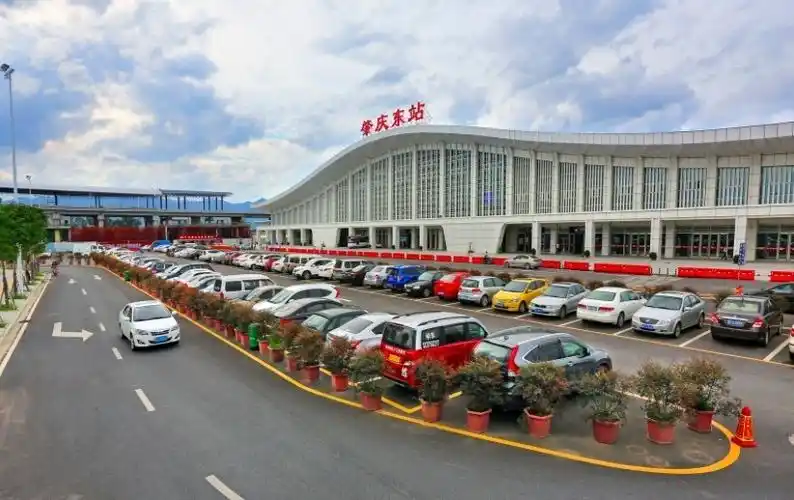 肇庆鼎湖引来"金凤凰"