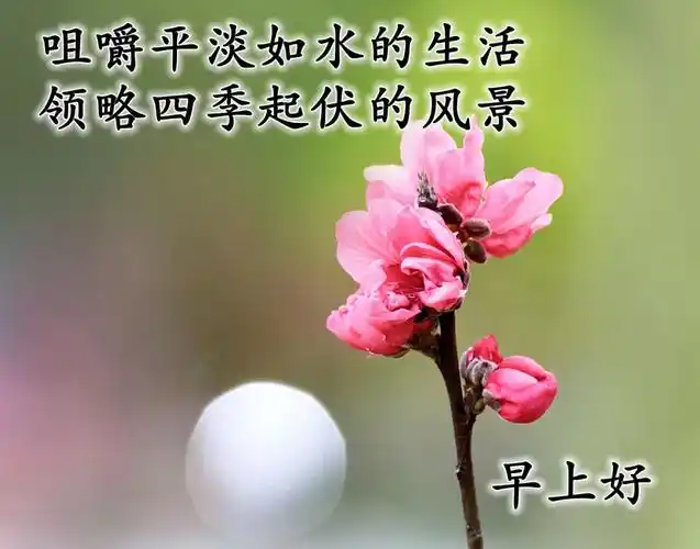 优美的早安祝福语带字动态图片,群发早安精美问候表情包