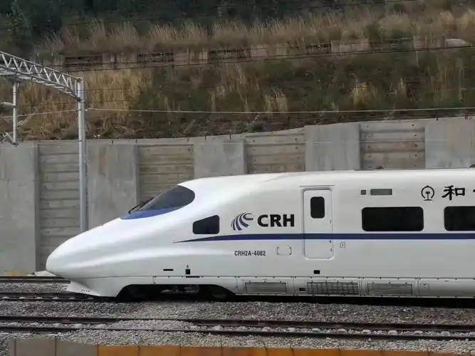 第一列和谐号动车驶入大理站