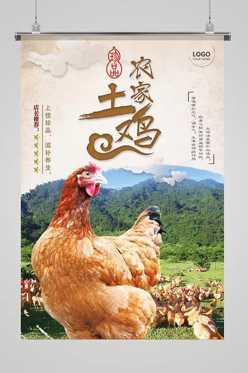 散养农家土鸡海报