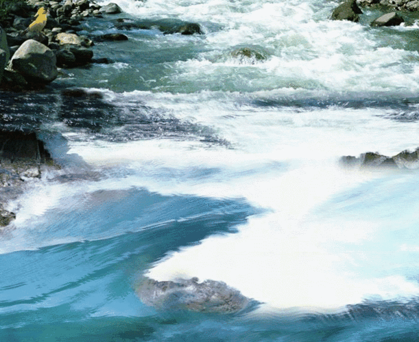 733_600gif 动态图 动图