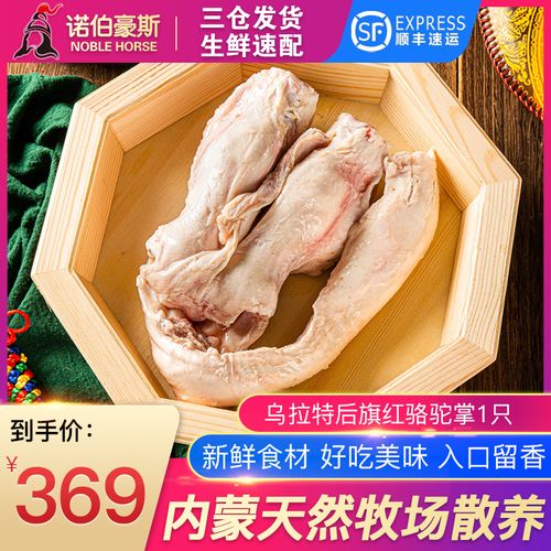 内蒙古乌拉特后旗戈壁红骆驼掌一只0.8kg-1kg