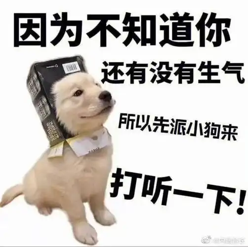 原来求和也可以这么可爱这些表情包和话术学起来