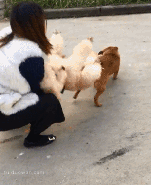 【搞笑gif图】讲实话,你这个手速到底是怎么练的