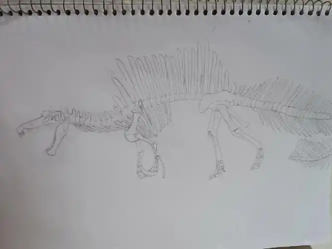 简简单单画头棘龙