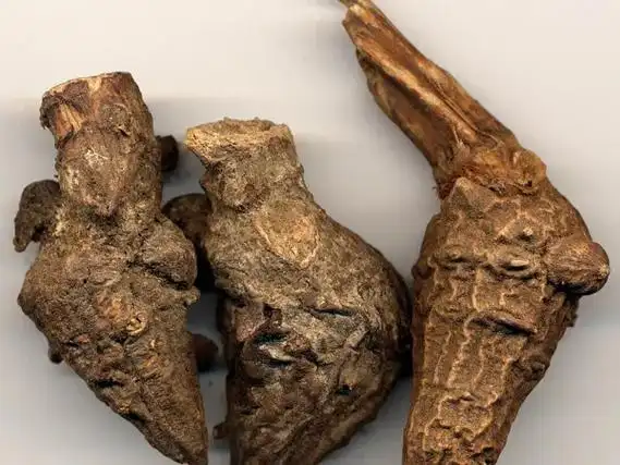 陈易玄##中国道家##中医养生