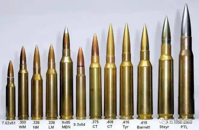 清华大学著作认不出最常见子弹,知识就这么匮乏?介绍国外资料全靠翻译