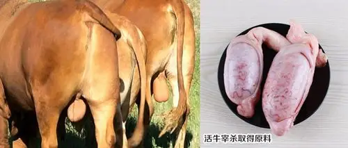 牛睾丸大个(1对/袋)四川产