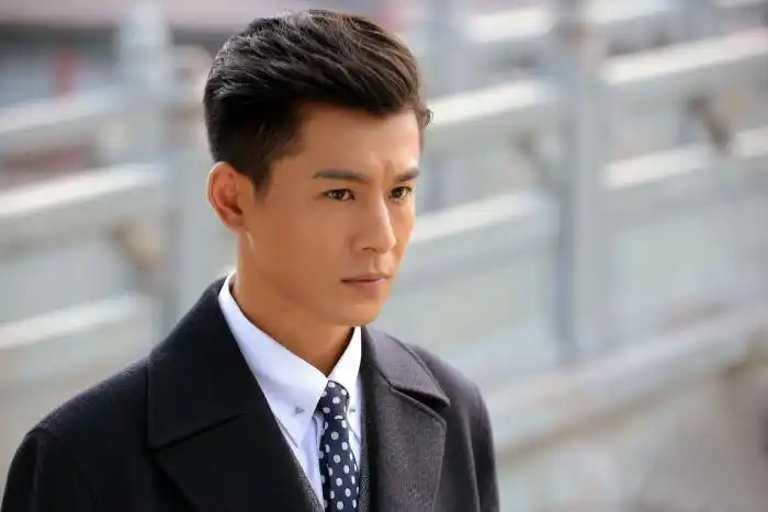 电视剧《昙花梦》,乔振宇饰演程慈航