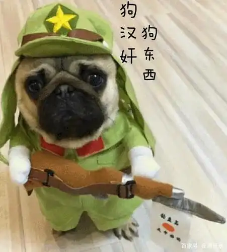 狗东西之恶,"狗"东家之罪."万恶狗为首"专题系列之六