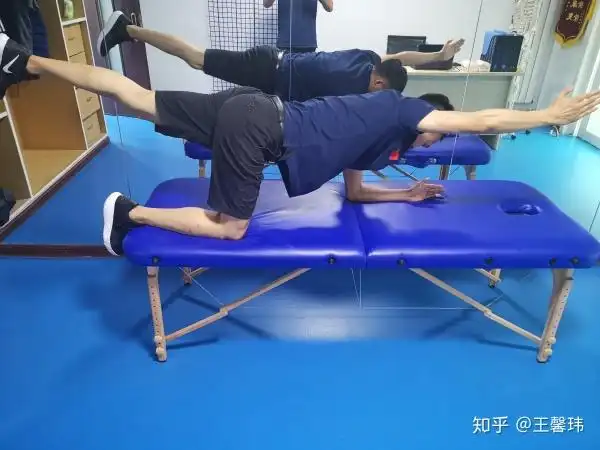 那些被我们忽略的小肌肉系列之多裂肌