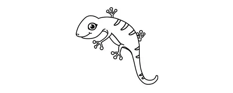 蜥蜴的尾巴不是很容易断,且断了还能长出来,而壁虎的尾巴是很容易断的