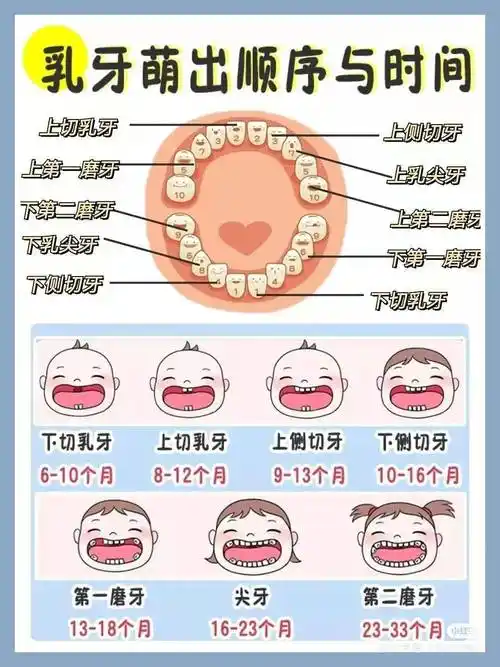 乳牙出现龋齿,对恒牙的生长也会有影响宝妈们,让我们一起为宝宝的一口