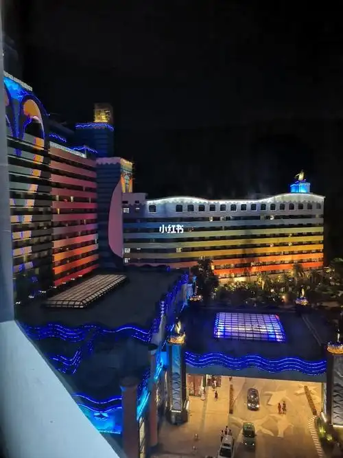 珠海长隆企鹅酒店