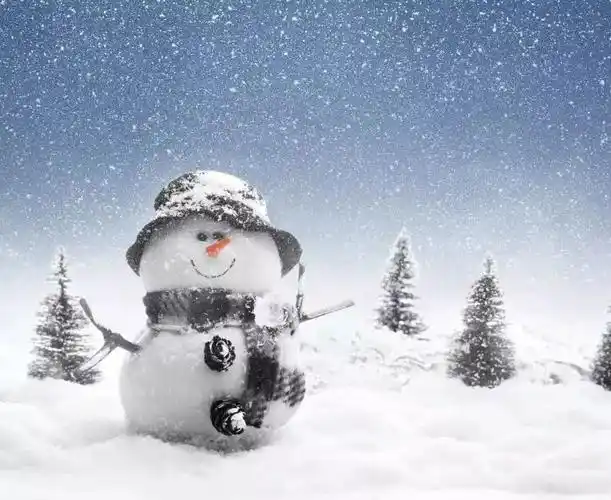 发朋友圈赞美雪的优美句子有关雪的心情说说