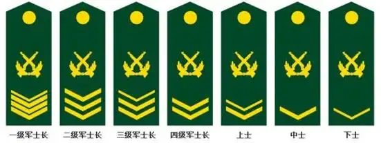 军士长即士官军衔