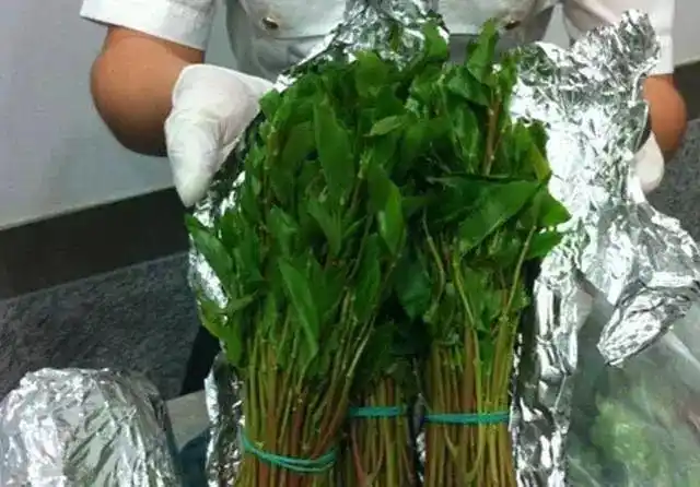 新型毒品光怪陆离,必须远离,别莫名其妙沾上!