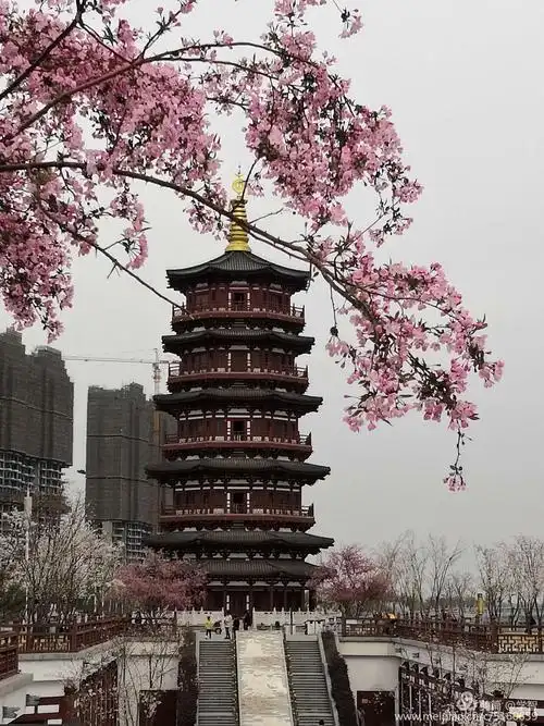 休闲赏花好去处——洛浦公园