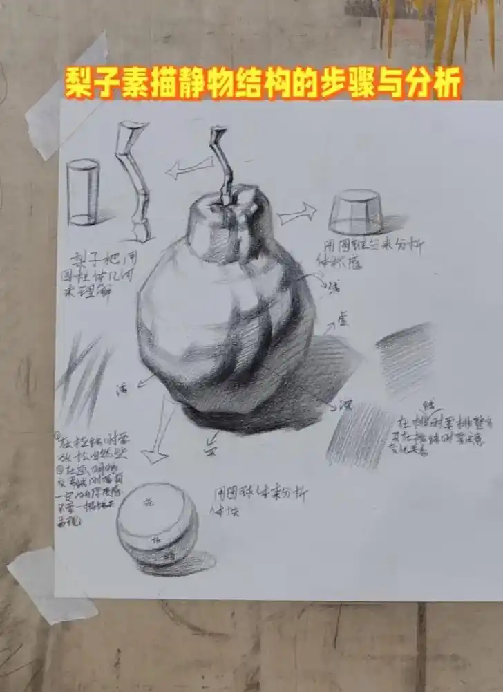 梨子素描静物结构的步骤与分析.#画画 #素描静物 #美术生  - 抖音
