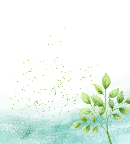 word模板___清新背景