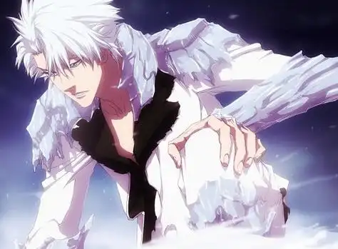 冬狮郎御魂搭配