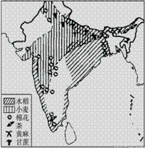 南亚农作物分布图