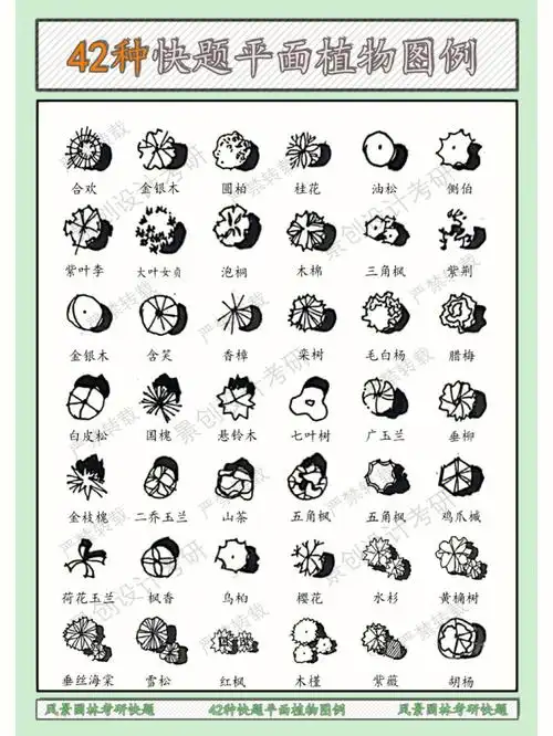 42种手绘平面植物图例