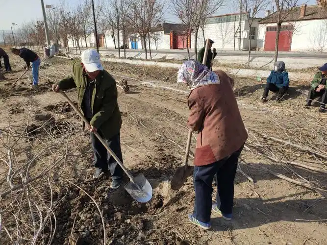 下四宫村开展美丽乡村春季植树活动