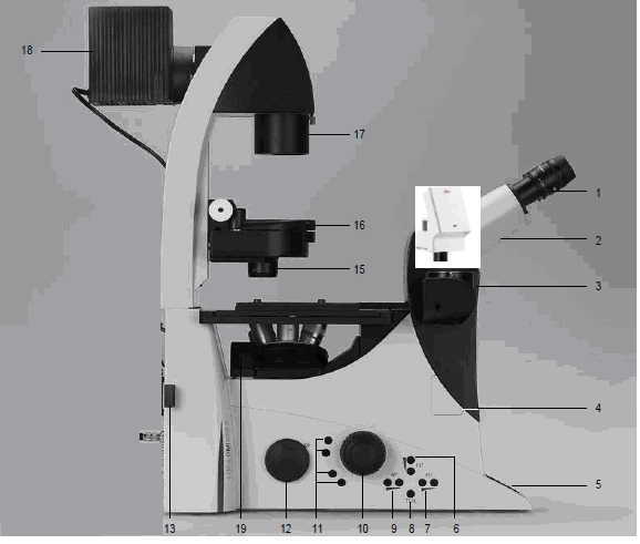 倒置荧光显微镜