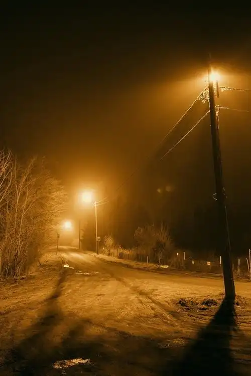 夜晚,道路,树木,灯光