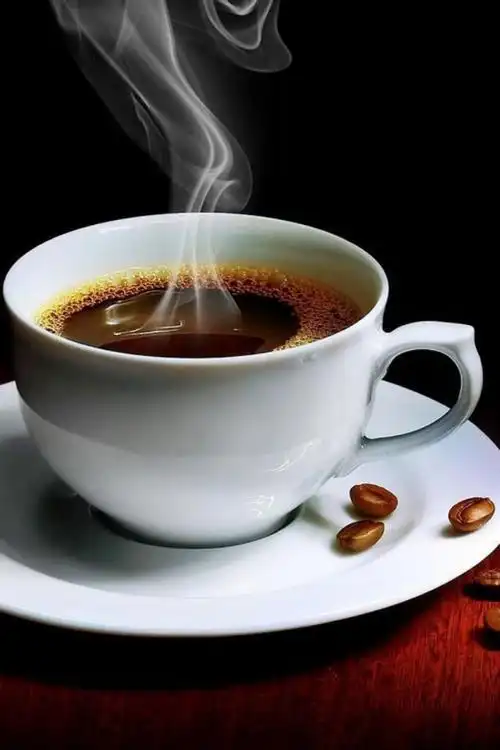 正品 台湾101小药 鲫霸促食剂 鲫鱼 鲤鱼 黑坑 野钓鱼 饵料