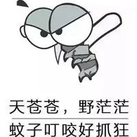 被蚊子咬了后朋友圈的无奈的配图_微信头像图片大全