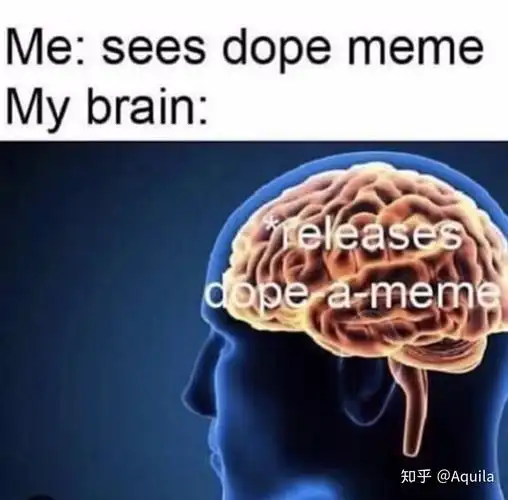 有什么关于生物学的表情包