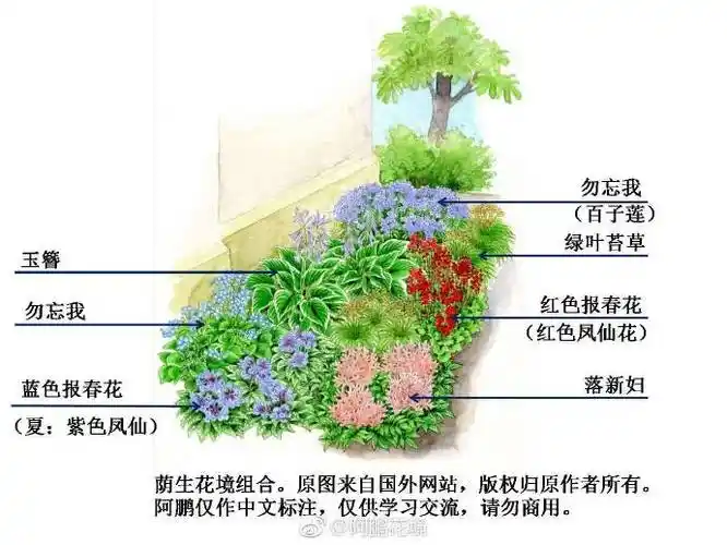 阿鹏花境