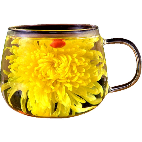 菊花茶金丝皇菊黄菊一朵一杯花茶特大朵菊花胎菊贡菊茶叶盒 100朵杯子