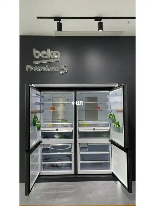 倍科大宽门冰箱