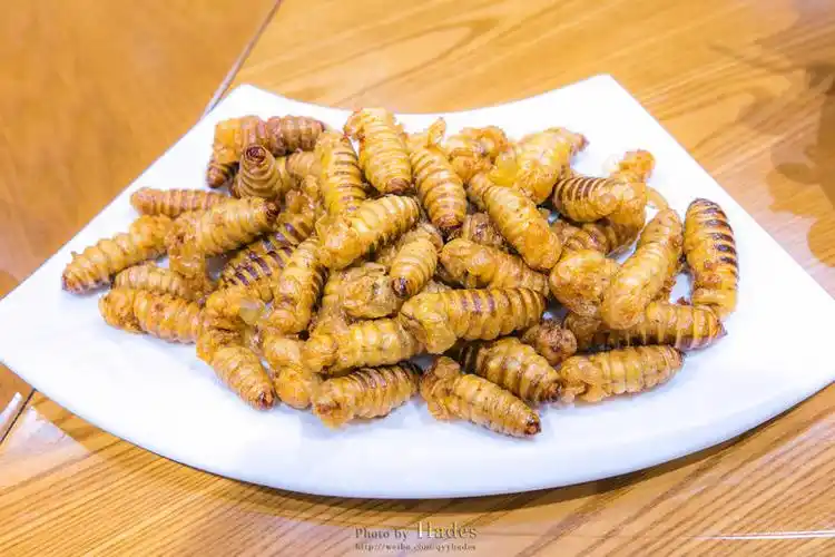 笨鹅蛋拌葱,云豆排骨贴土豆,炸雄蚕蛾,炸小神仙,铁板黑椒羊排等,都是