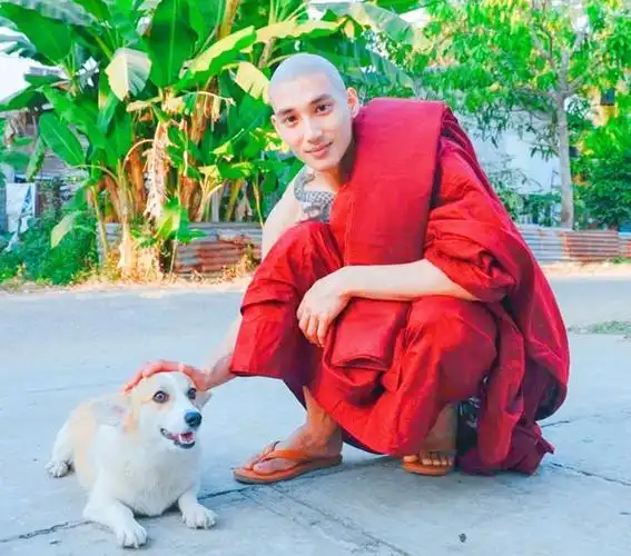 一身袈裟遮不住健壮肌肉缅甸这个帅和尚让无数妹子着迷