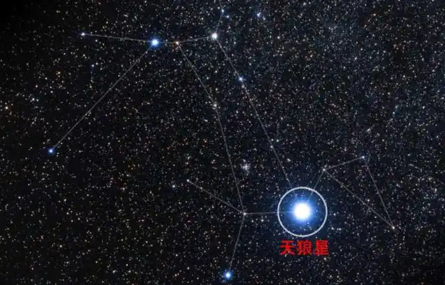 为什么天狼星在很有文化中都有特别的意义?