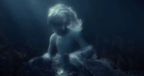 529_279gif 动态图 动图