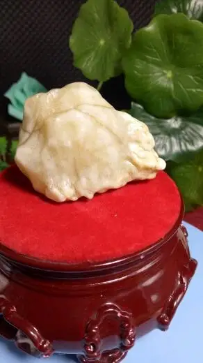 罗布泊地表蛋白原石