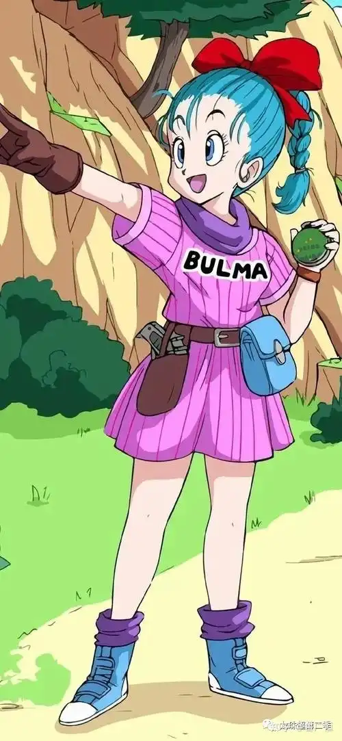 龙珠壁纸布玛专辑大家的女神